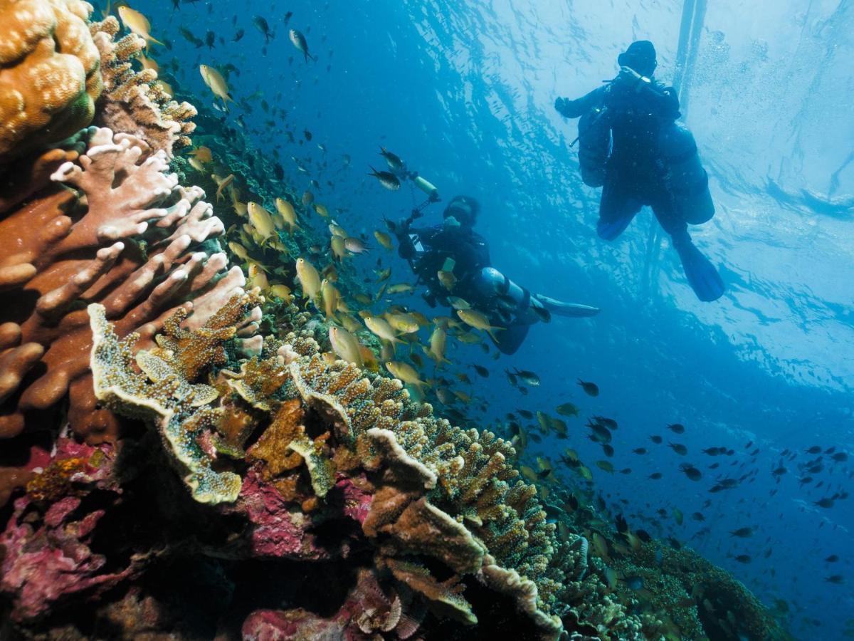 Cebu Seaview Dive Resort Moalboal Eksteriør billede